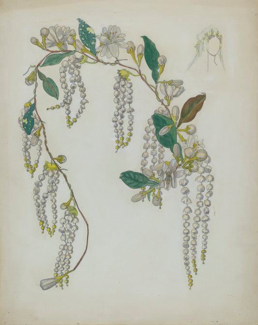 Bridal Wreath by Verna Tallman (American, active c. 1935), 16X12"(A3)Poster Print
