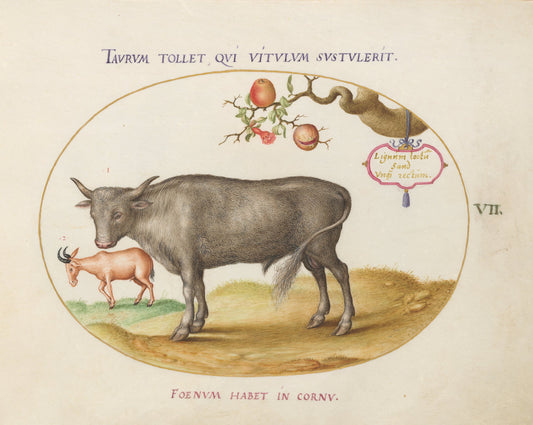 Animalia Qvadrvpedia et Reptilia (Terra): Plate VII by Joris Hoefnagel (Flemish, 1542 - 1600), 16X12"(A3)Poster Print