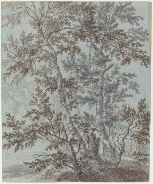 A Stand of Birch Trees by Johann Caspar Huber (Swiss, 1752 - 1827), 16X12"(A3)Poster Print