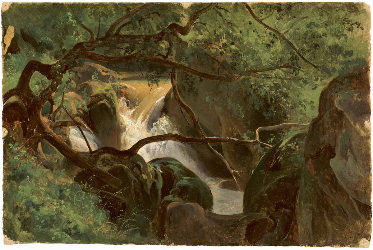 Forest Interior with a Waterfall, Papigno by André Giroux (French, 1801 - 1879), 16X12"(A3)Poster Print