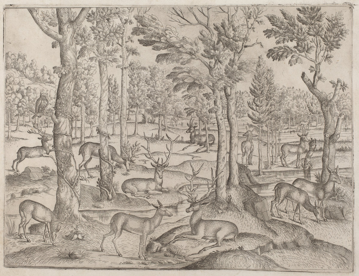 c. 1520 by Italian 16th Century (Deer in the Forest), 16X12"(A3)Poster Print