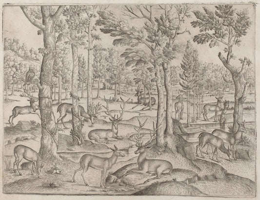 c. 1520 by Italian 16th Century (Deer in the Forest), 16X12"(A3)Poster Print