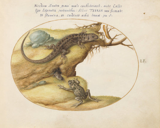 Animalia Qvadrvpedia et Reptilia (Terra): Plate LI by Joris Hoefnagel (Flemish, 1542 - 1600), 16X12"(A3)Poster Print