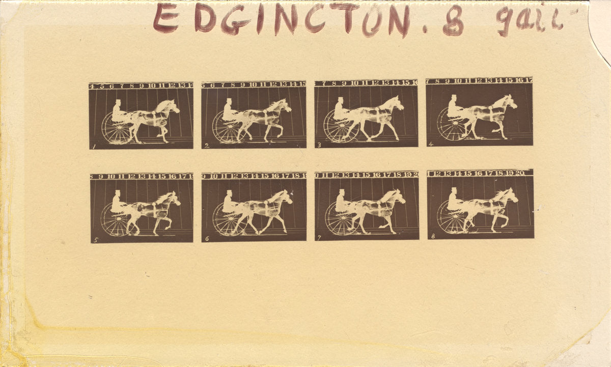 Internegative for Horses. Trotting. Abe Edgington. No. 28 by Eadweard Muybridge (American, born England, 1830 - 1904), 16X12"(A3)Poster Print