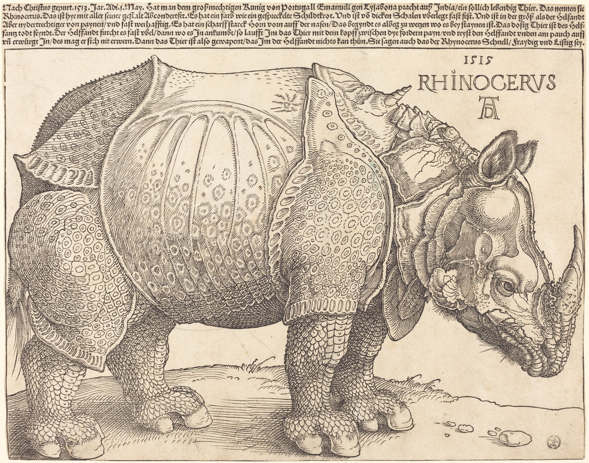 The Rhinoceros by Albrecht Dürer (German, 1471 - 1528), 16X12"(A3)Poster Print