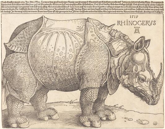 The Rhinoceros by Albrecht Dürer (German, 1471 - 1528), 16X12"(A3)Poster Print