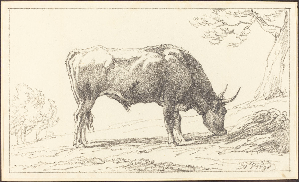 A Young Bull Grazing by Hendrik Voogd (Dutch, 1768 - 1839), 16X12"(A3)Poster Print