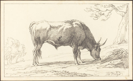 A Young Bull Grazing by Hendrik Voogd (Dutch, 1768 - 1839), 16X12"(A3)Poster Print