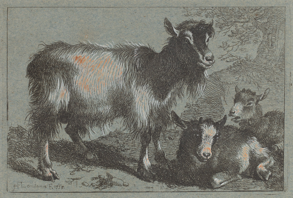 Goat and Two Kids by Francesco Londonio (Italian, 1723 - 1783), 16X12"(A3)Poster Print