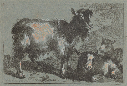 Goat and Two Kids by Francesco Londonio (Italian, 1723 - 1783), 16X12"(A3)Poster Print