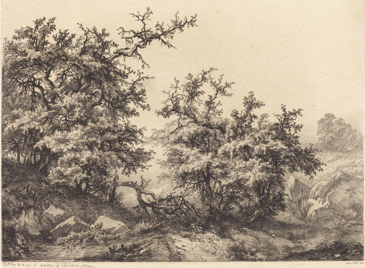 Thornbushes by Eugène Bléry (French, 1805 - 1887), 16X12"(A3)Poster Print