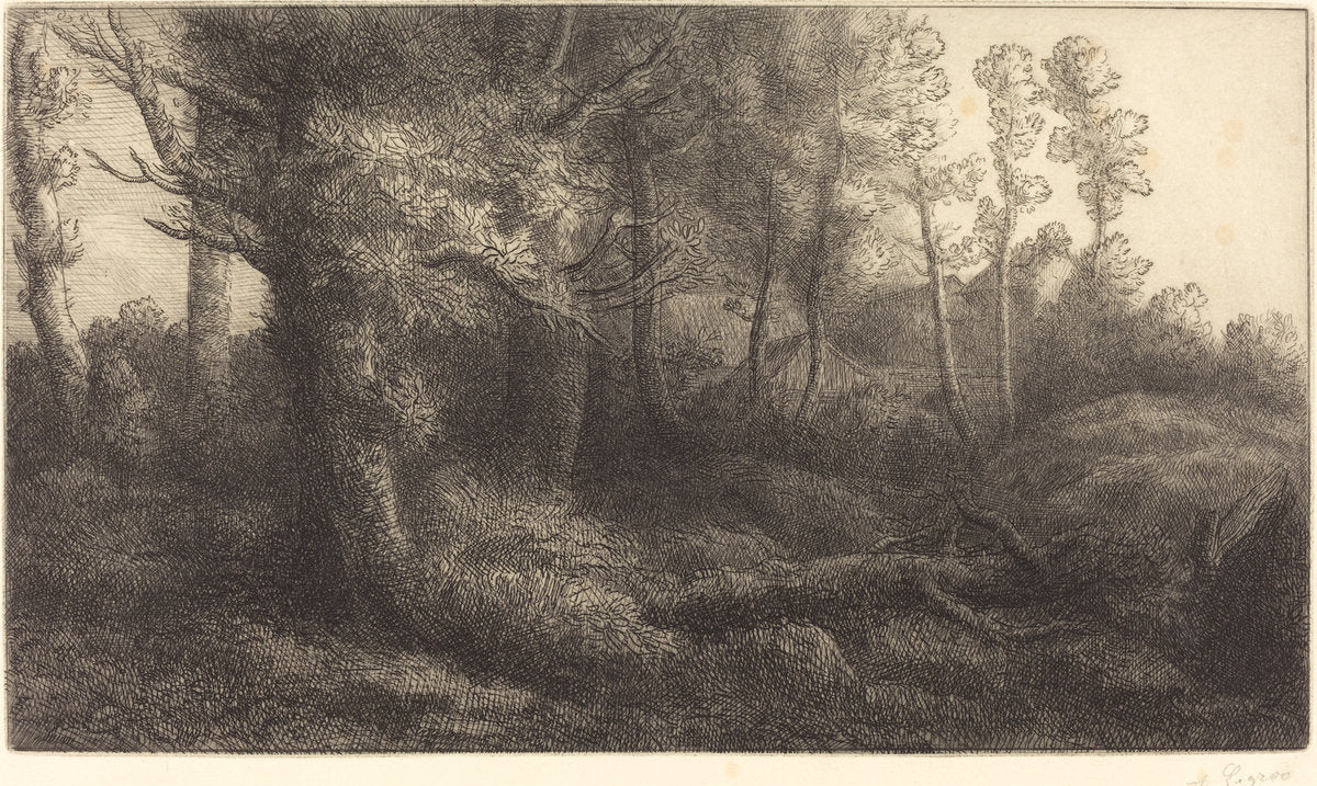 In the Forest (Lisiere de foret) by Alphonse Legros (French, 1837 - 1911), 16X12"(A3)Poster Print