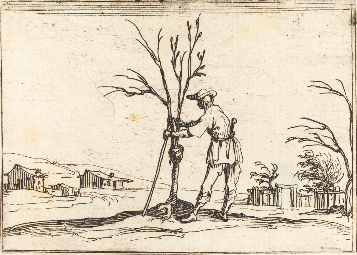 Gardener Pruning a Tree by Jacques Callot (French, 1592 - 1635), 16X12"(A3)Poster Print
