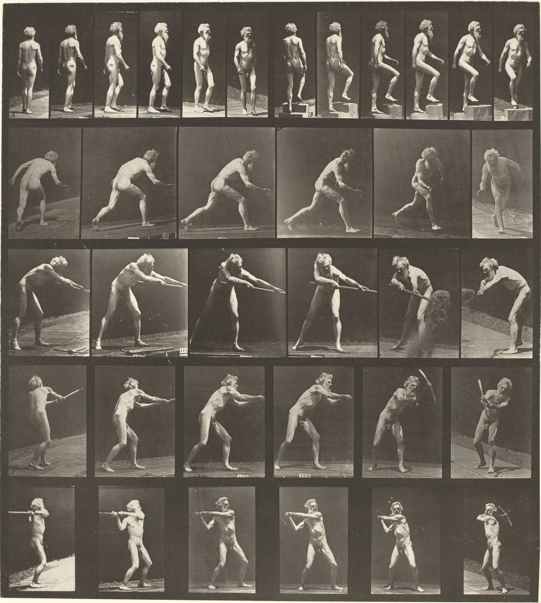 Animal Locomotion, Plate 521 by Eadweard Muybridge (American, born England, 1830 - 1904), 16X12"(A3)Poster Print