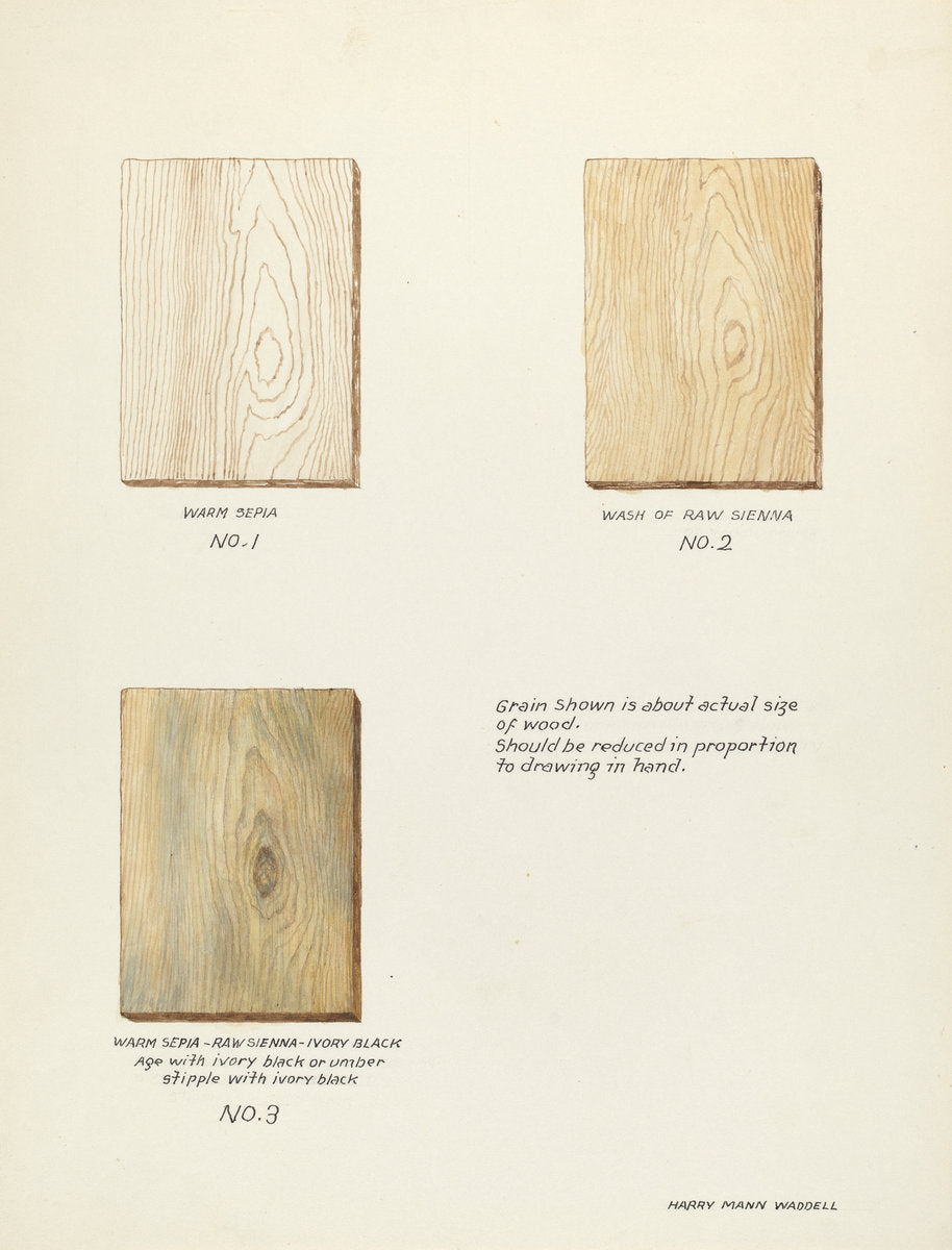 Technique Demo (Wood Grain) by Harry Mann Waddell (American, active c. 1935), 16X12"(A3)Poster Print