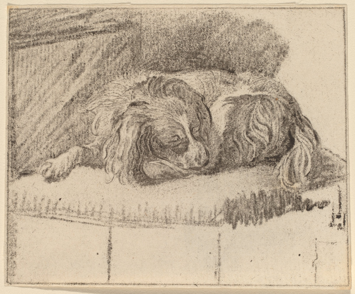 Lying Dog by Cornelis Ploos van Amstel and Cornelis Brouwer after Frans van Mieris (Dutch, active second half 18th century), 16X12"(A3)Poster Print