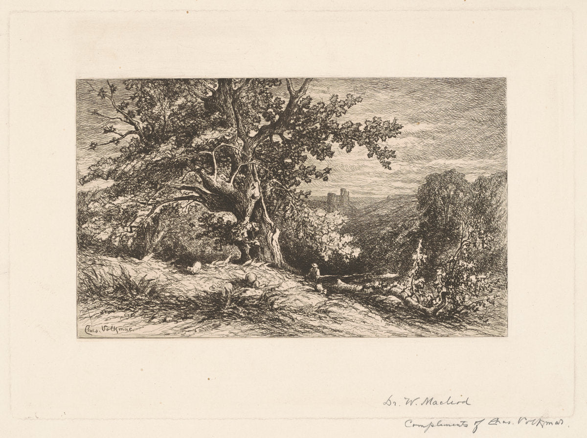 Landscape with Fallen Tree by Charles Volkmar (American, 1841 - 1914), 16X12"(A3)Poster Print