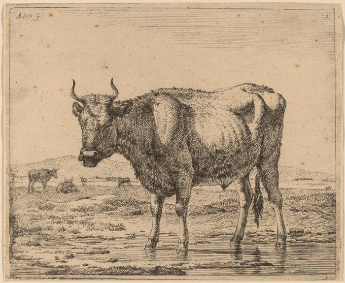 Bull Standing in Water by Adriaen van de Velde (Dutch, 1636 - 1672), 16X12