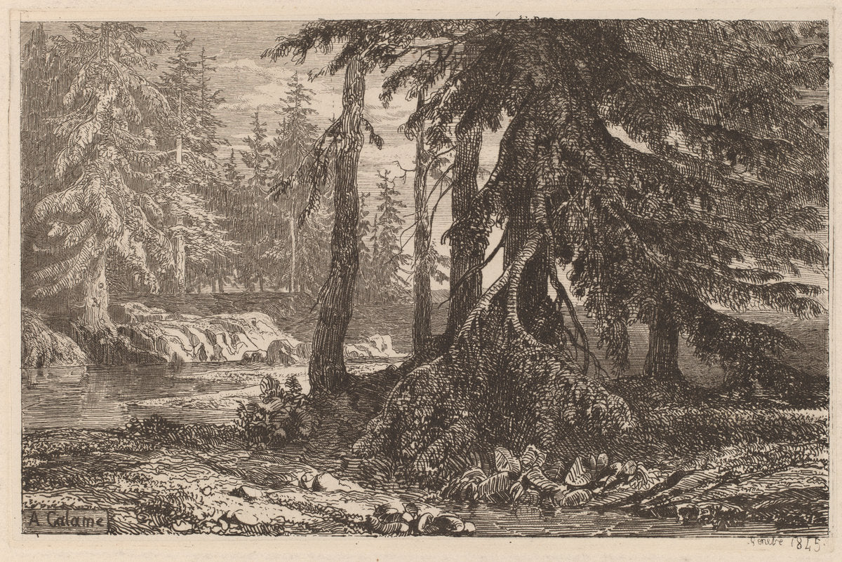 Essais de gravure à l'eau forte par Alexandre Calame, III, pl. 16 by Alexandre Calame (Swiss, 1810 - 1864), 16X12"(A3)Poster Print