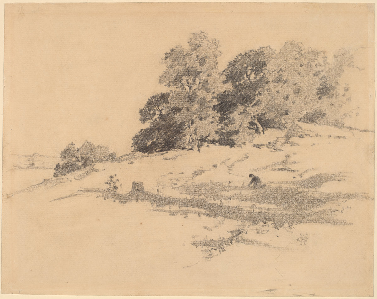 Landscape near Washington, Connecticut by William Hamilton Gibson (American, 1850 - 1896), 16X12"(A3)Poster Print