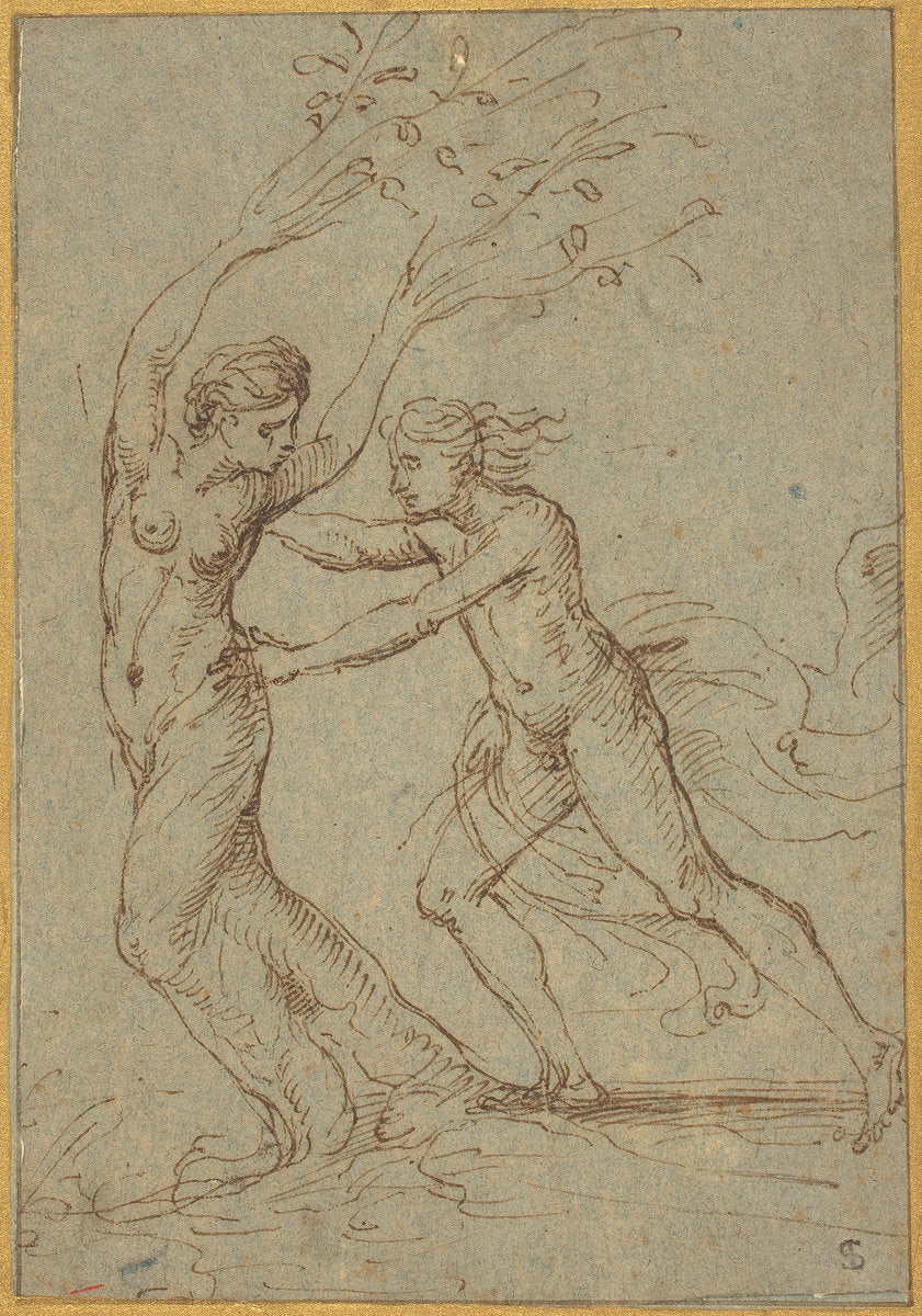 Apollo and Daphne by Follower of Giulio Romano (Roman, 1499 - 1546), 16X12"(A3)Poster Print