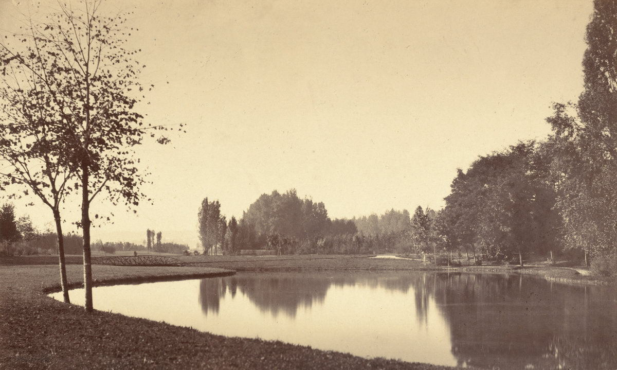 Bois de Boulogne by Charles Marville (French, 1813 - 1879), 16X12"(A3)Poster Print