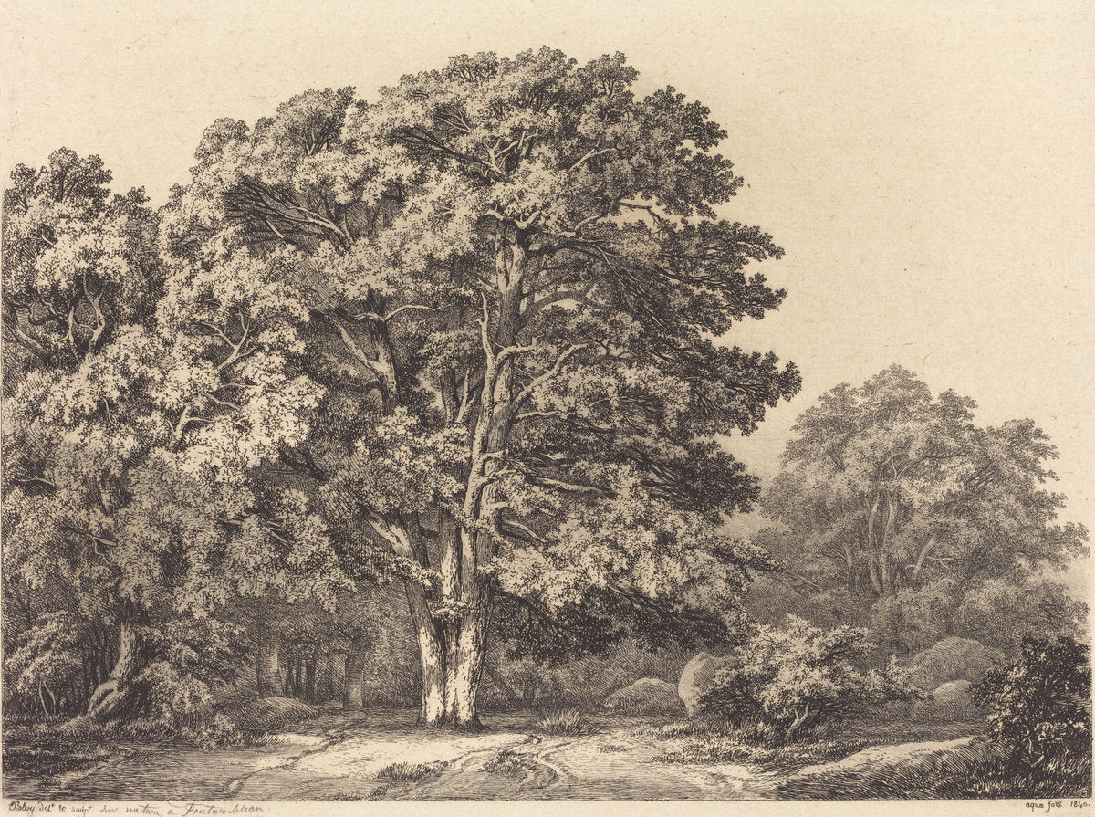 Entrance to a Forest by Eugène Bléry (French, 1805 - 1887), 16X12"(A3)Poster Print