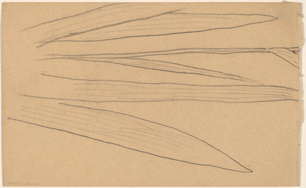 Study of a Flower [verso] by Charles Sprague Pearce (American, 1851 - 1914), 16X12"(A3)Poster Print