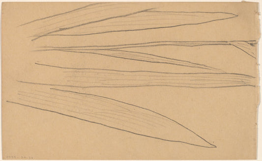 Study of a Flower [verso] by Charles Sprague Pearce (American, 1851 - 1914), 16X12"(A3)Poster Print