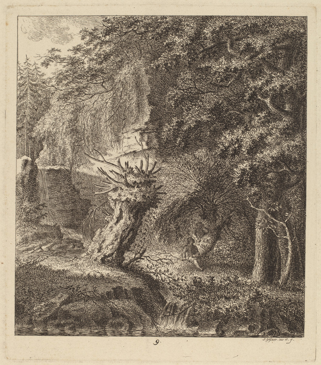 Wooded Landscape with a Pollarded Tree by Salomon Gessner (Swiss, 1730 - 1788), 16X12"(A3)Poster Print