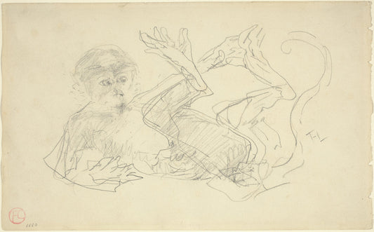 A Monkey Playing on His Back by Henri de Toulouse-Lautrec (French, 1864 - 1901), 16X12"(A3)Poster Print