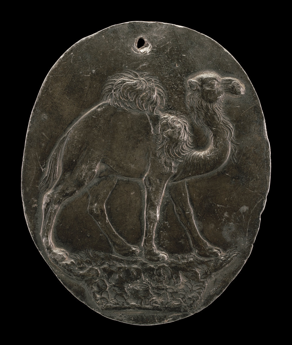 Arabian Camel (or Dromedary) by Attributed to Antonio Abondio (Italian, 1538 - 1591), 16X12"(A3)Poster Print