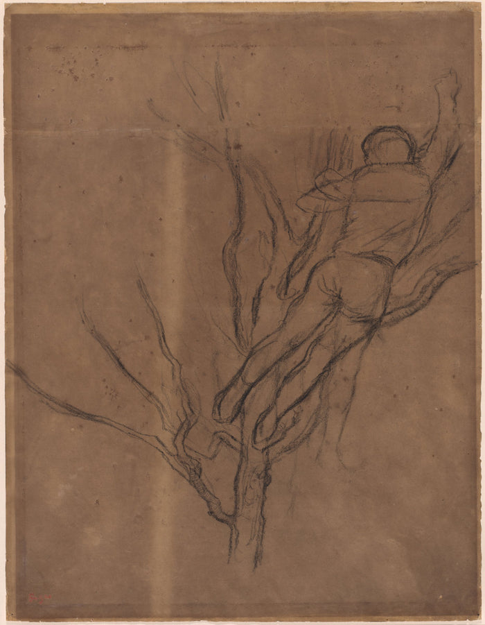 Man Pruning a Tree by Edgar Degas (French, 1834 - 1917), 16X12
