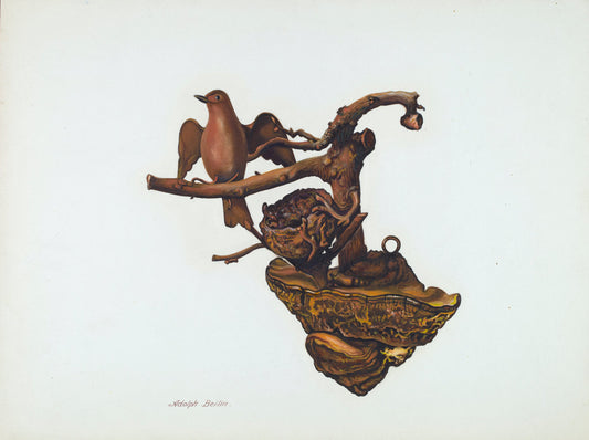 Carved Bird and Nest by Adolph Beilin (American, active c. 1935), 16X12"(A3)Poster Print