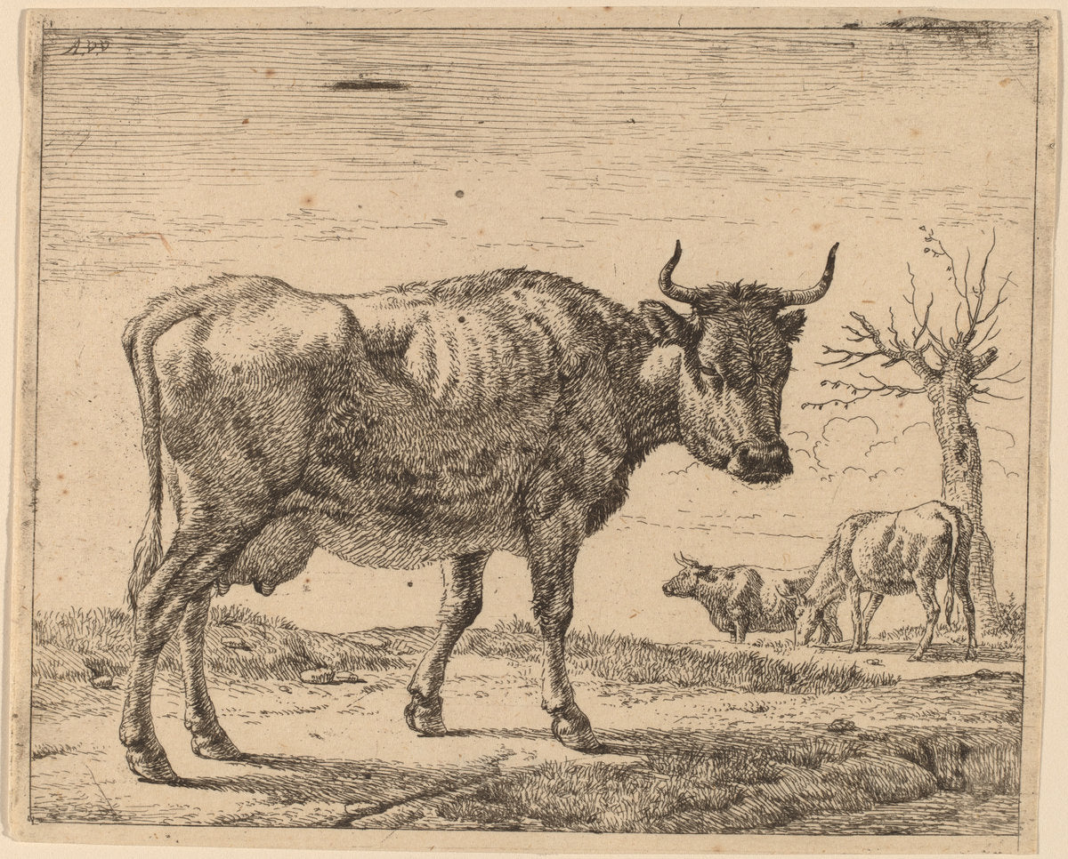 Three Cows by Adriaen van de Velde (Dutch, 1636 - 1672), 16X12"(A3)Poster Print