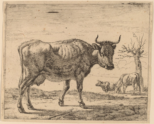 Three Cows by Adriaen van de Velde (Dutch, 1636 - 1672), 16X12"(A3)Poster Print