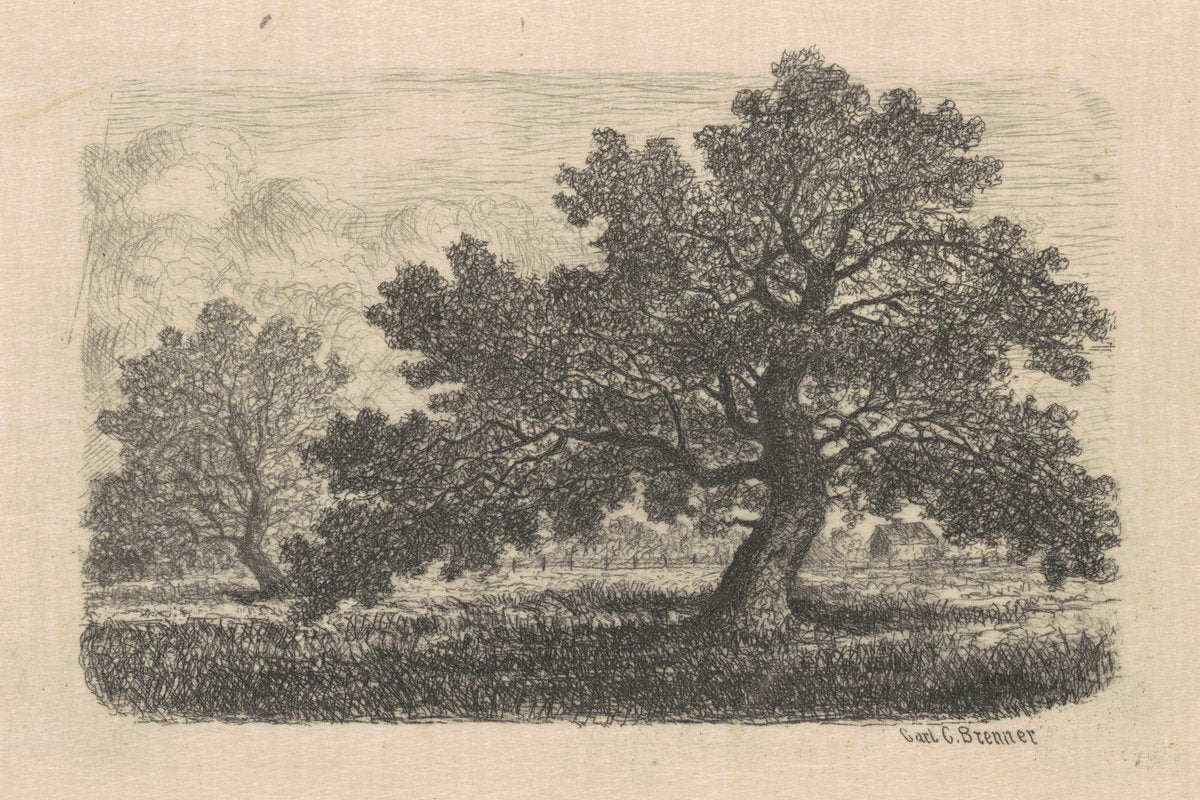 Apple Trees by Carl C. Brenner (American, 1838 - 1888), 16X12"(A3)Poster Print