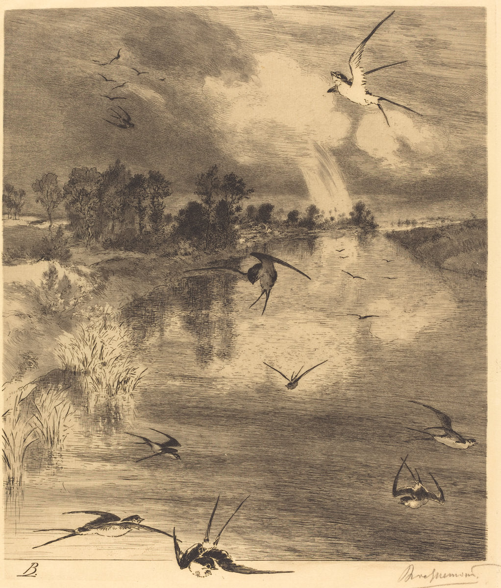Les Hirondelles (The Swallows) by Félix Bracquemond (French, 1833 - 1914), 16X12"(A3)Poster Print