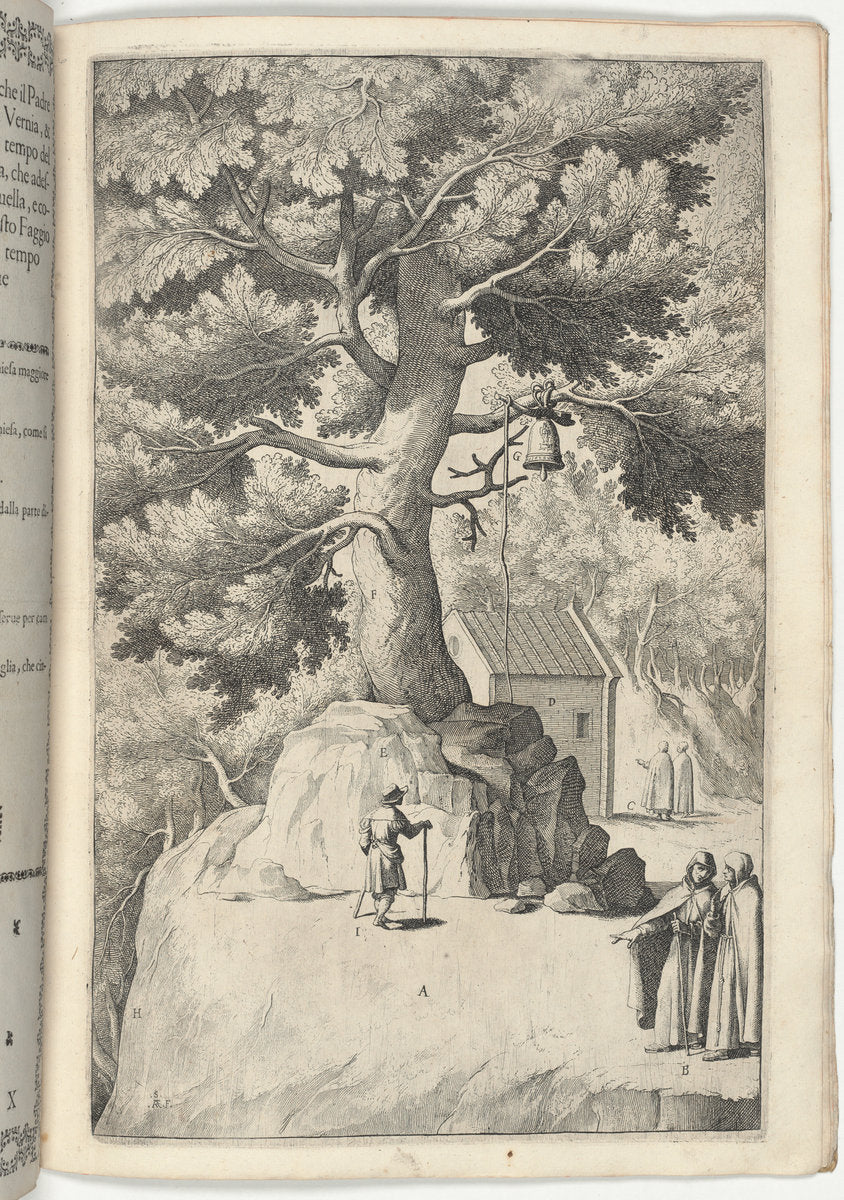 Beech Tree with the Bell (Faggio della campana) [plate X] by Jacopo Ligozzi (artist), Raffaello Schiaminossi (etcher), Lino Moroni (author) (Italian, 1547 - 1627), 16X12"(A3)Poster Print