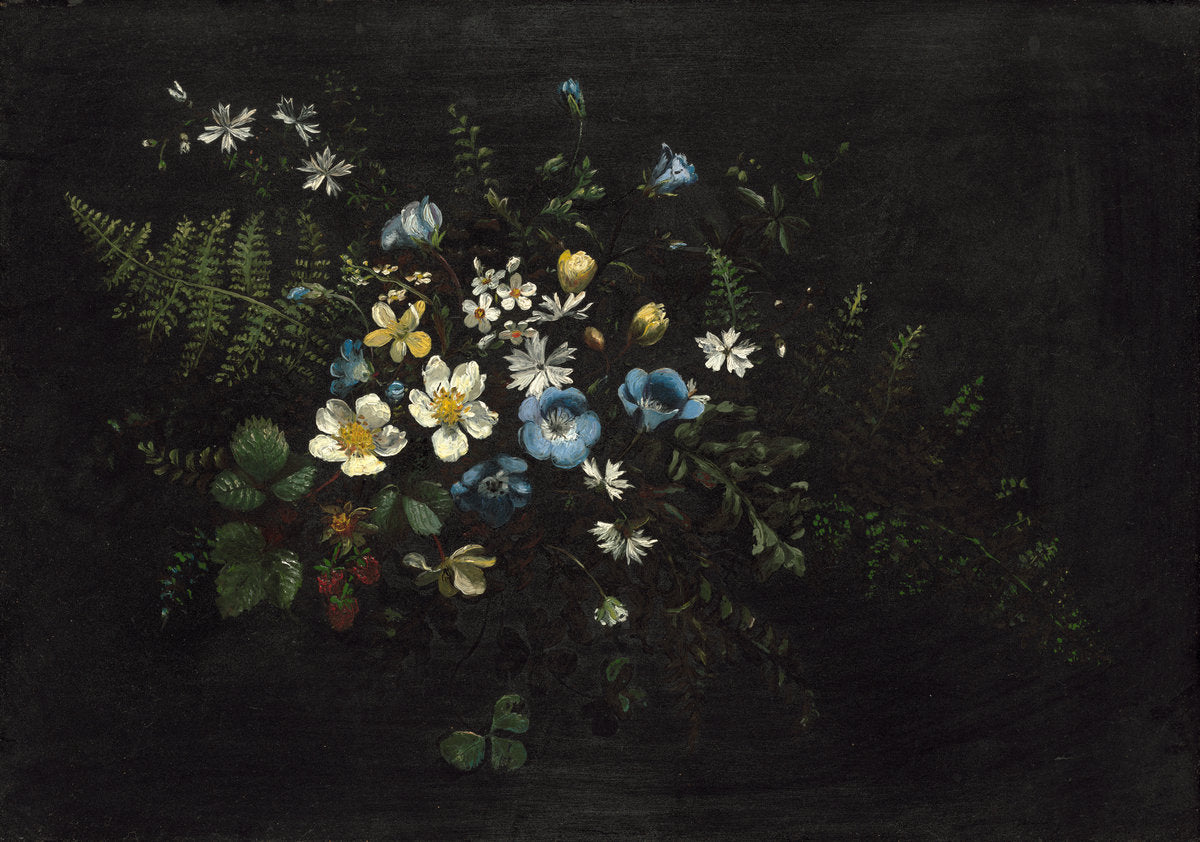 Spray of Flowers and Ferns by Titian Ramsay Peale (American, 1799 - 1885), 16X12"(A3)Poster Print