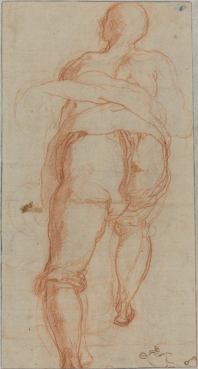 A Man Seen from Behind [verso] by Taddeo Zuccaro (Roman, 1529 - 1566), 16X12"(A3)Poster Print