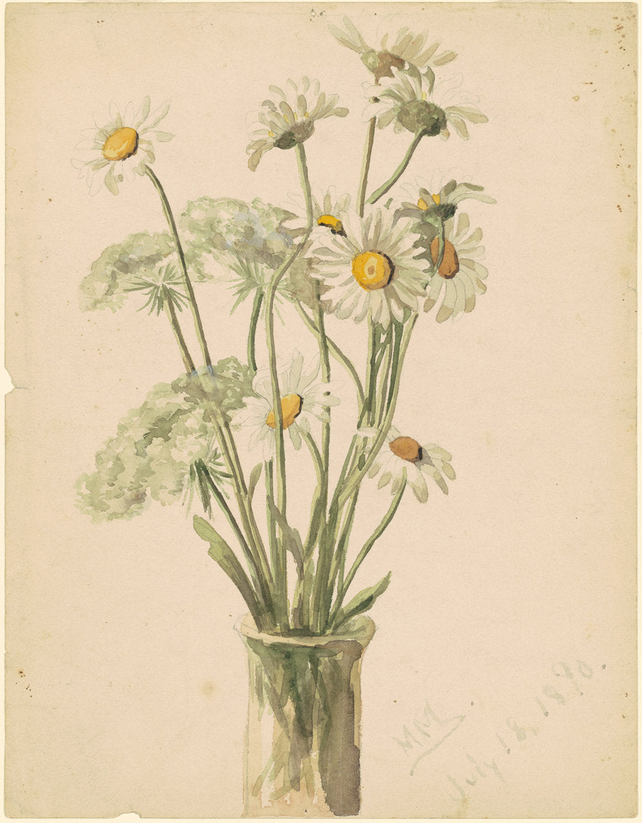 Daisies and Queen Ann's Lace by Marietta Minnigerode Andrews (American, 1869 - 1931), 16X12"(A3)Poster Print