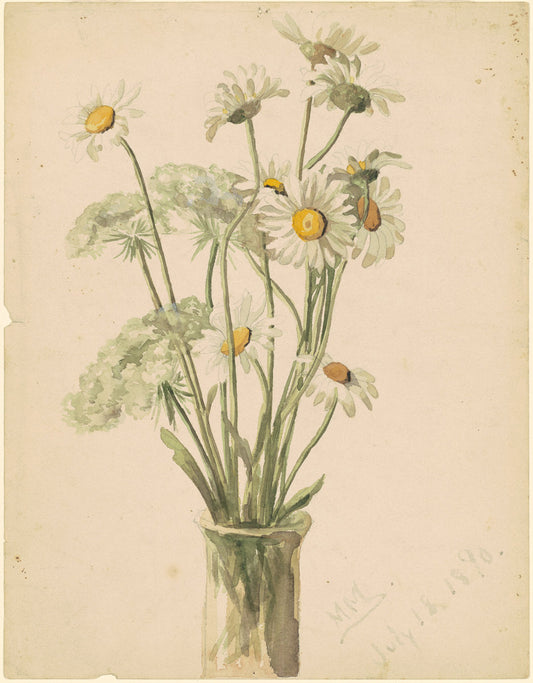 Daisies and Queen Ann's Lace by Marietta Minnigerode Andrews (American, 1869 - 1931), 16X12"(A3)Poster Print