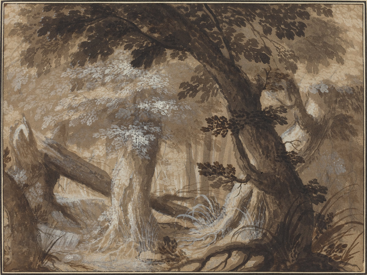 c. 1610 by Flemish 17th Century (Forest Interior), 16X12"(A3)Poster Print