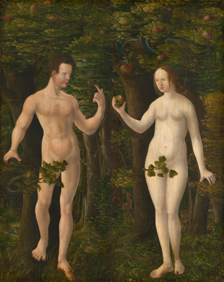 c. 1535 by Workshop of Albrecht Altdorfer (The Fall of Man [middle panel]), 16X12"(A3)Poster Print