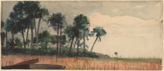 Palm Trees, Red by Winslow Homer (American, 1836 - 1910), 16X12"(A3)Poster Print