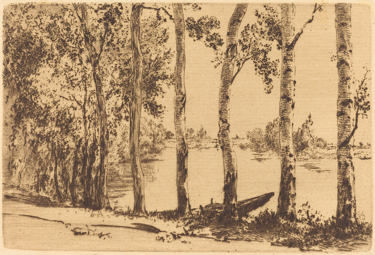 Poplars Along the Seine by Félix Bracquemond (French, 1833 - 1914), 16X12"(A3)Poster Print