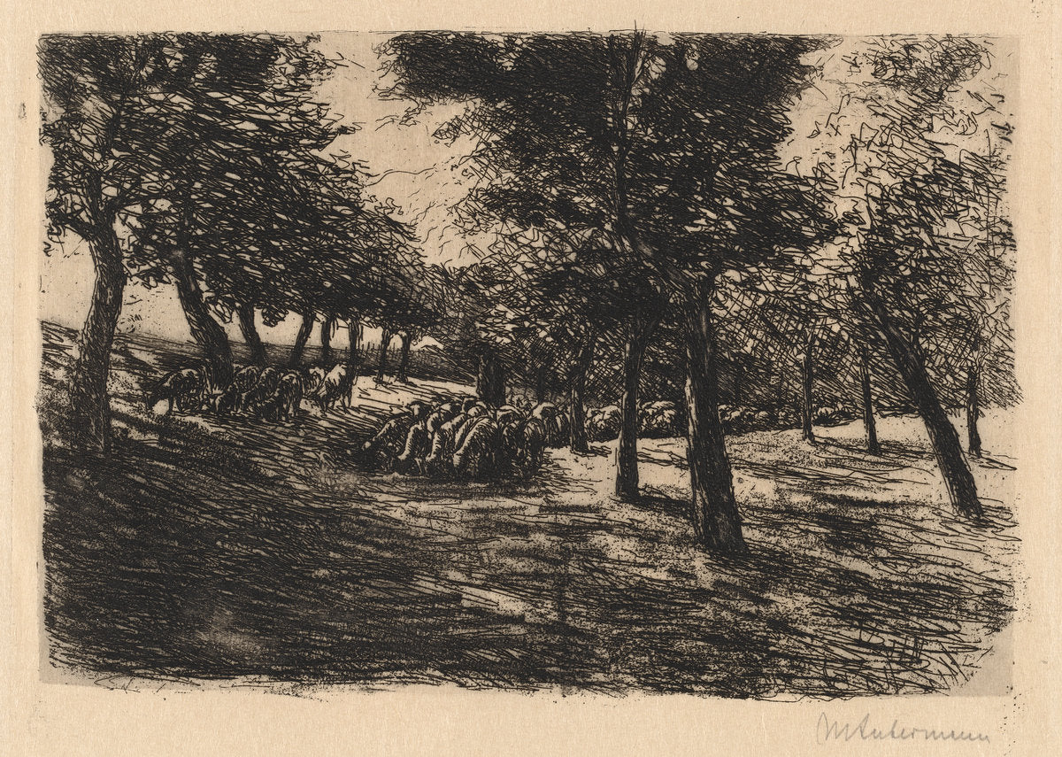 Herd of Sheep Under Trees by Max Liebermann (German, 1847 - 1935), 16X12"(A3)Poster Print