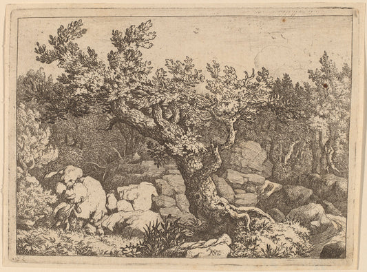 Sportsman near a Large Tree by Allart van Everdingen (Dutch, 1621 - 1675), 16X12"(A3)Poster Print