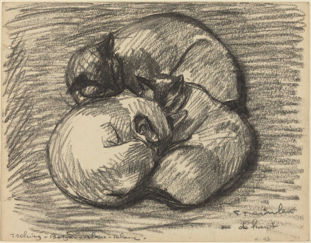 The Cats: Tsching, Batzar and Blanc-Blanc by Théophile Alexandre Steinlen (Swiss, 1859 - 1923), 16X12"(A3)Poster Print